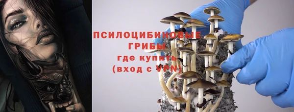 ПСИЛОЦИБИНОВЫЕ ГРИБЫ Абаза