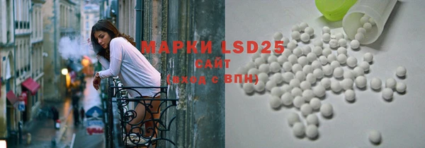ПСИЛОЦИБИНОВЫЕ ГРИБЫ Абаза