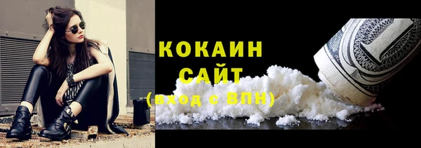 шишки Абинск