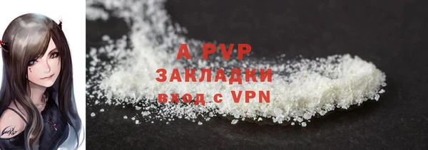 прущие грибы Абдулино