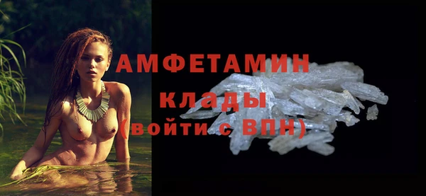 ПСИЛОЦИБИНОВЫЕ ГРИБЫ Абаза