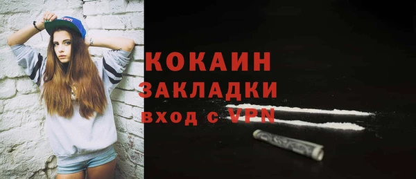 ПСИЛОЦИБИНОВЫЕ ГРИБЫ Абаза