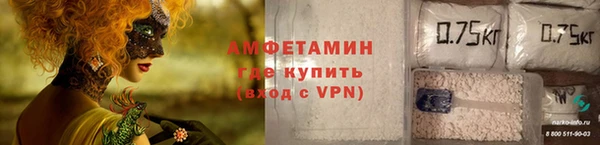 ПСИЛОЦИБИНОВЫЕ ГРИБЫ Абаза