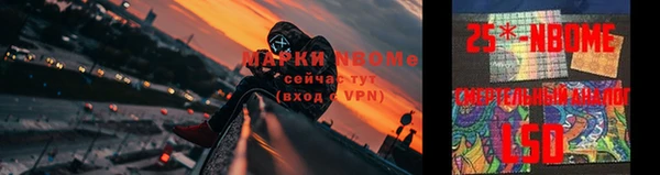прущие грибы Абдулино