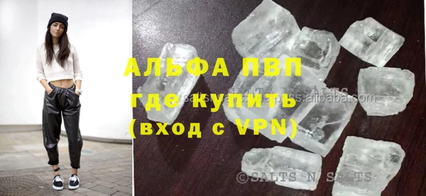 прущие грибы Абдулино