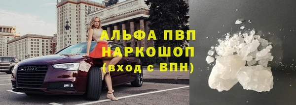 прущие грибы Абдулино