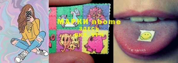 прущие грибы Абдулино