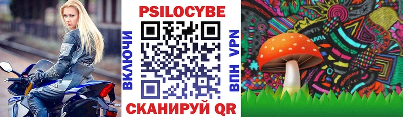 Псилоцибиновые грибы Cubensis  ссылка на мегу   Кудымкар  закладки 